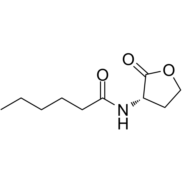 N-Hexanoyl-L-homoserine lactone 147852-83-3